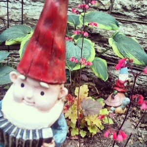 instagram gnome